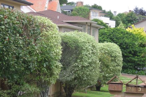 Photo of property in 7 Cedar Road, Mount Eden, Auckland, 1024