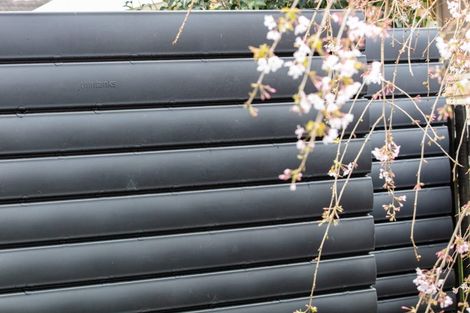 Photo of property in 20b Carisbrooke Street, Katikati, 3129