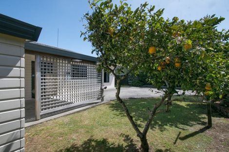 Photo of property in 16b Wills Road, Katikati, 3129