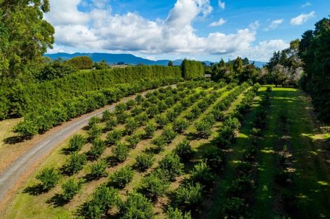 Photo of property in 109d Plummer Road, Whakamarama, Tauranga, 3179