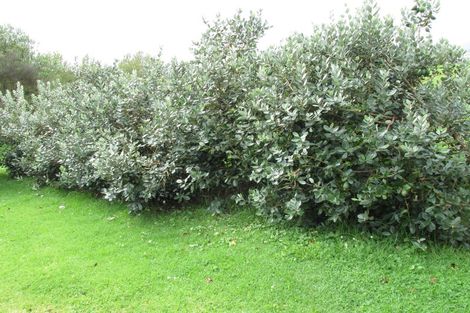 Photo of property in 47 Wilson Road, Wellsford, 0972