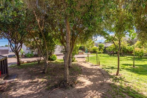Photo of property in 6 Princes Street, Levin, 5510