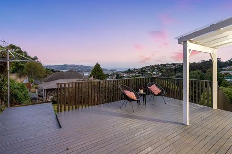 Photo of property in 116 Sidey Street, Calton Hill, Dunedin, 9012