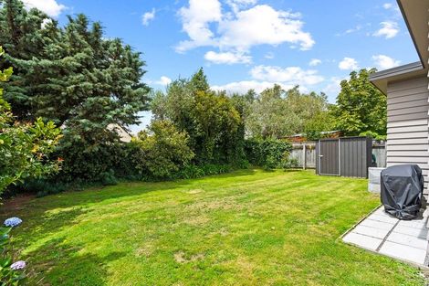 Photo of property in 77 Dublin Street, Martinborough, 5711