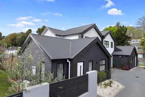 Photo of property in 1/13 Clarkin Road, Chartwell, Hamilton, 3210