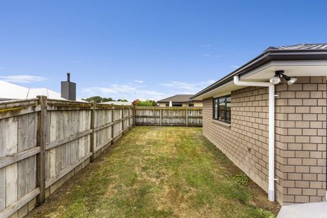 Photo of property in 13 Barry Curtis Place, Levin, 5510