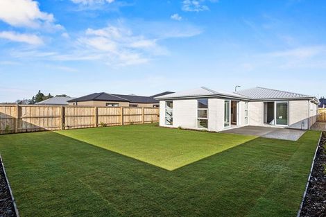 Photo of property in 19 Wilkin Street, Woodend, 7610