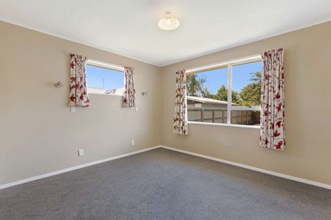 Photo of property in 40 Leefield Street, Blenheim, 7201