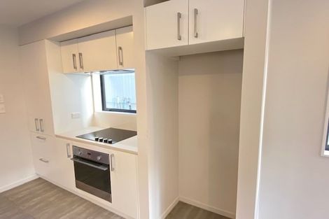 Photo of property in 46 Makamaka Lane, Albany Heights, Auckland, 0632