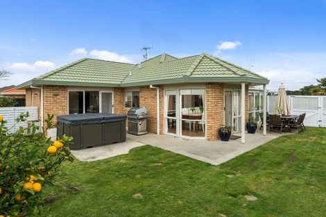 Photo of property in 225 Gloucester Road, Mount Maunganui, 3116