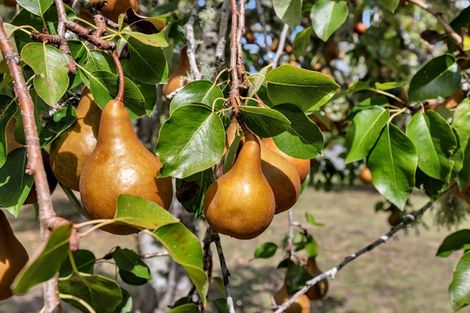 Photo of property in 285 Pataua North Road, Whareora, Whangarei, 0175