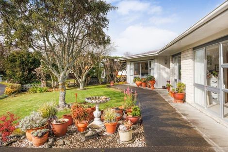 Photo of property in 3 Dalzien Place, Feilding, 4702
