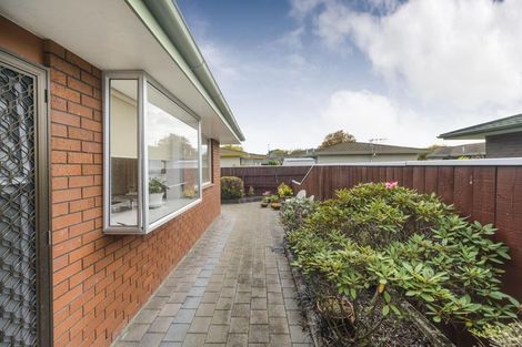 Photo of property in 117 Roy Street, Palmerston North, 4410