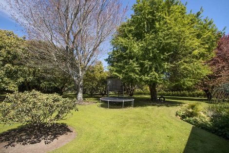 Photo of property in 13b Astelia Drive, Omokoroa, 3114