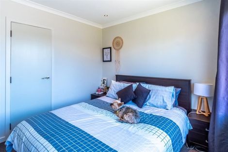 Photo of property in 715 Duke Street, Mahora, Hastings, 4120