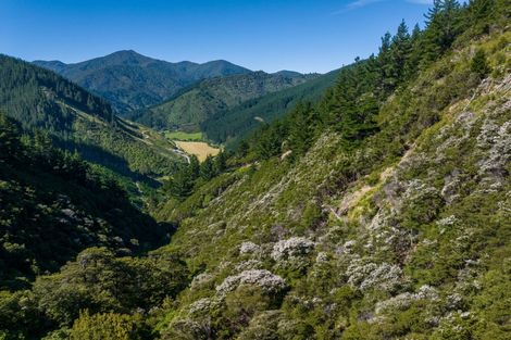 Photo of property in 785 Waikakaho Road, Tuamarina, Blenheim, 7273