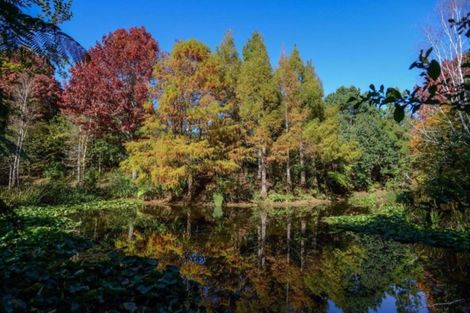 Photo of property in 582 Old Coach Road, Te Pohue, Napier, 4182