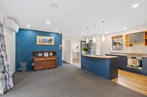 Photo of property in 12 Achray Street, Waiau, 7332