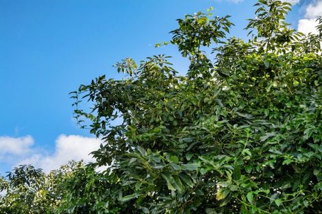 Photo of property in 91 Morton Road, Aongatete, Katikati, 3181