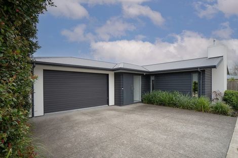 Photo of property in 55a Ferguson Street, Awapuni, Palmerston North, 4412