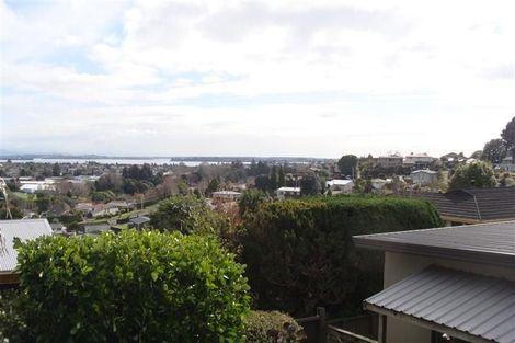 Photo of property in 23 Brookfield Terrace, Brookfield, Tauranga, 3110