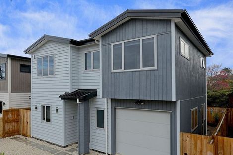 Photo of property in 43c Border Road, Henderson, Auckland, 0612