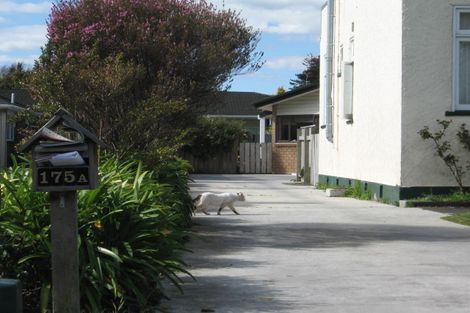Photo of property in 177a Cook Street, West End, Palmerston North, 4410