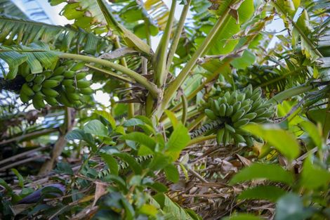 Photo of property in 20 Captain Wood Avenue, Whitianga, 3510