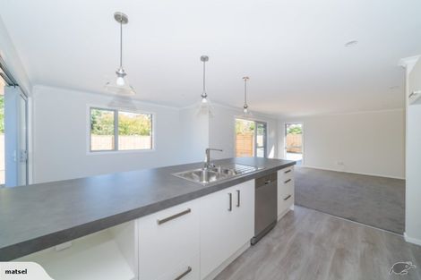 Photo of property in 1a Nelson Street, Feilding, 4702