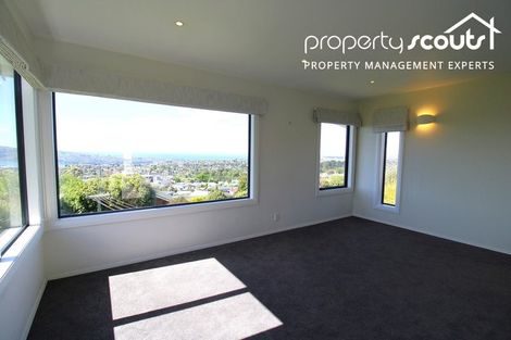 Photo of property in 45 Stephen Street, Halfway Bush, Dunedin, 9010