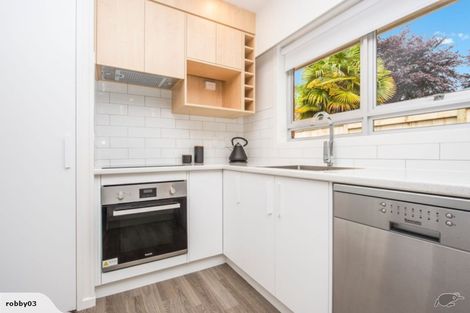 Photo of property in 34b Aurora Terrace, Hillcrest, Hamilton, 3216