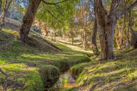 Photo of property in 205 Caveland Road, Te Whiti, Masterton, 5884