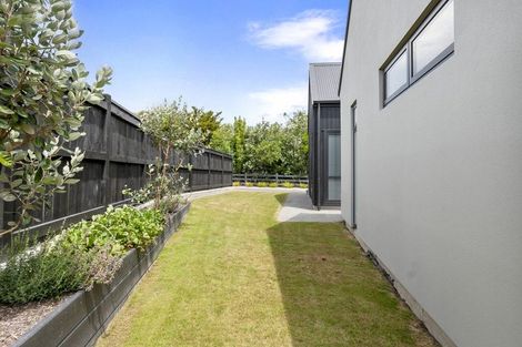 Photo of property in 161 Pharazyn Street, Feilding, 4702