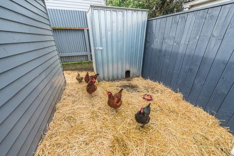 Photo of property in 4 Muir Street, Gonville, Whanganui, 4501