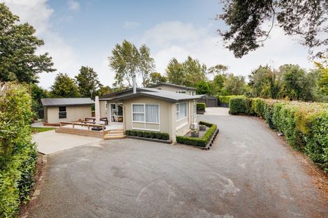 Photo of property in 77 North Street, Feilding, 4702