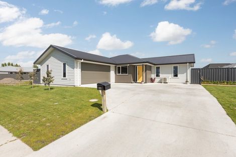 Photo of property in 93 Belgrove Drive, Waipukurau, 4200