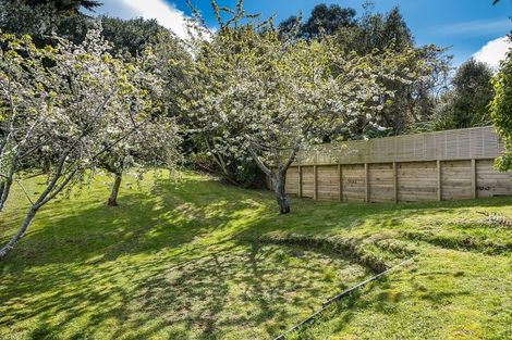 Photo of property in 19 Jellicoe Crescent, Kaikorai, Dunedin, 9010