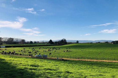 Photo of property in 486 Okoroire Road, Okoroire, Tirau, 3485