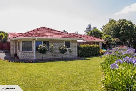 Photo of property in 86 Rowesdale Drive, Ohauiti, Tauranga, 3112