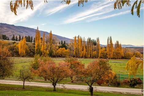 Photo of property in 192 Heaney Road, Cromwell, 9384