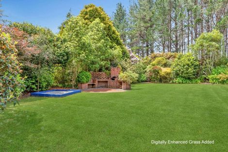 Photo of property in 1668 Oropi Road, Oropi, Tauranga, 3173