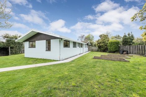 Photo of property in 14 Taiaroa Place, Southbridge, 7602