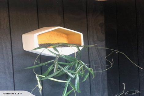 Photo of property in 3 George Avenue, Herald Island, Auckland, 0618