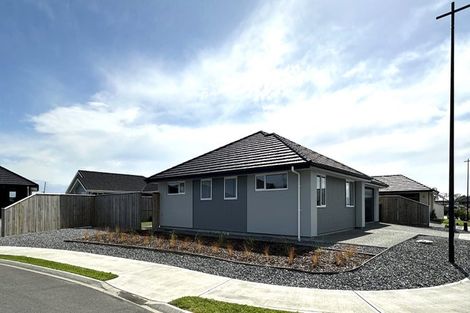 Photo of property in 20 Ayrshire Street, Appleby, Richmond, 7020