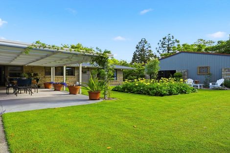 Photo of property in 41 Walmsley Road, Waihi, 3610