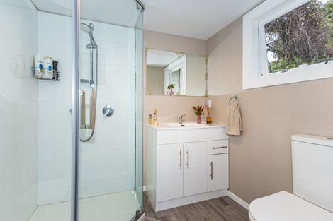 Photo of property in 53a Mckenzie Street, Geraldine, 7930