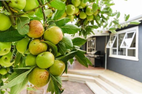 Photo of property in 1112 Rangiotu Road, Rangiotu, Palmerston North, 4477