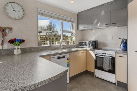 Photo of property in 46d Brandon Street, Alexandra, 9320