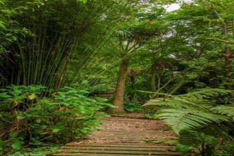 Photo of property in 74 Moffat Drive, Lincoln, 7608