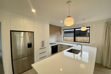 Photo of property in 8 Booth Drive, Cromwell, 9310